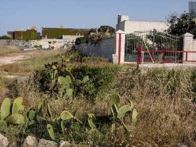 Per visitarla lasciamo l�arenile e ci dirigiamo verso il parcheggio, per imboccare un viale sterrato che costeggia il muro perimetrale della masseria. Troviamo cos� un cancello aperto che ci permette di accedere nel cortile...